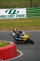 enduro-digital-images;event-digital-images;eventdigitalimages;mallory-park;mallory-park-photographs;mallory-park-trackday;mallory-park-trackday-photographs;no-limits-trackdays;peter-wileman-photography;racing-digital-images;trackday-digital-images;trackday-photos